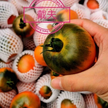 戴夫草莓柿子大量上市