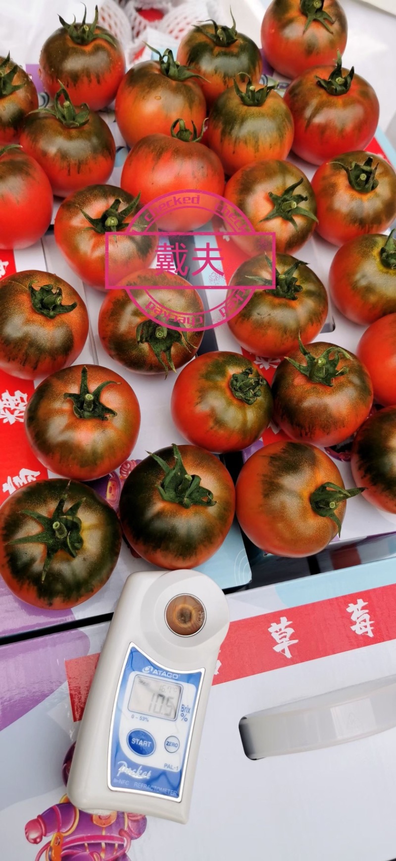 戴夫草莓柿子大量上市