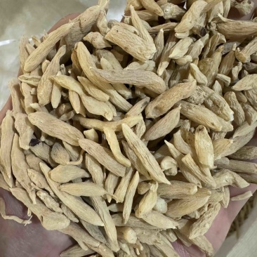 麦冬干麦冬麦门冬保庆药业中药材麦冬实物拍摄