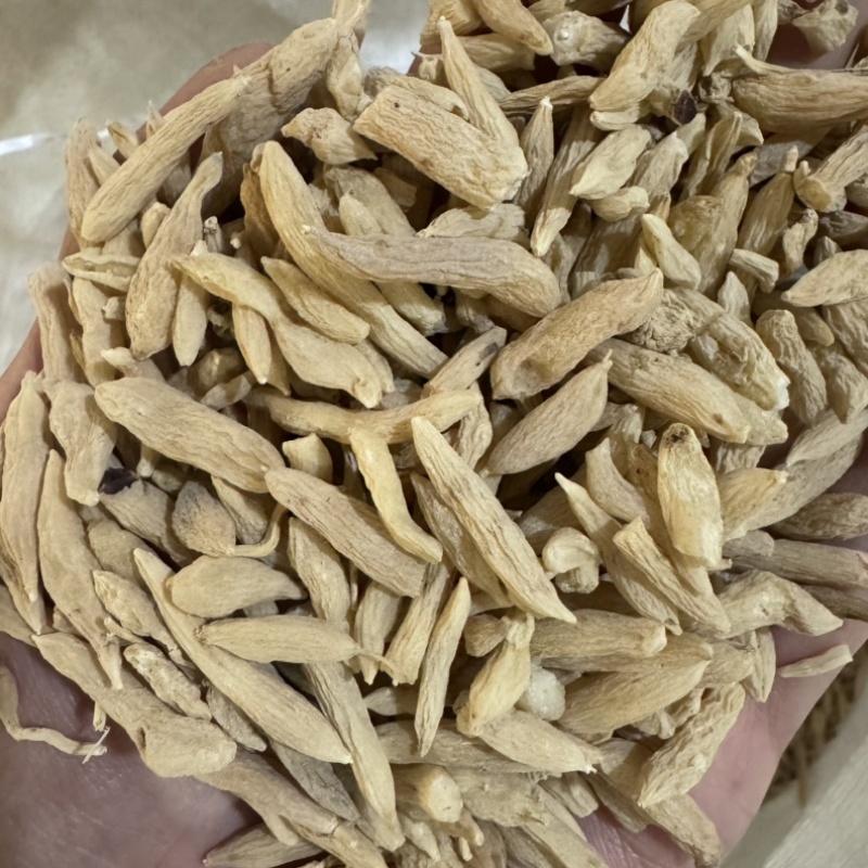 麦冬干麦冬麦门冬保庆药业中药材麦冬实物拍摄