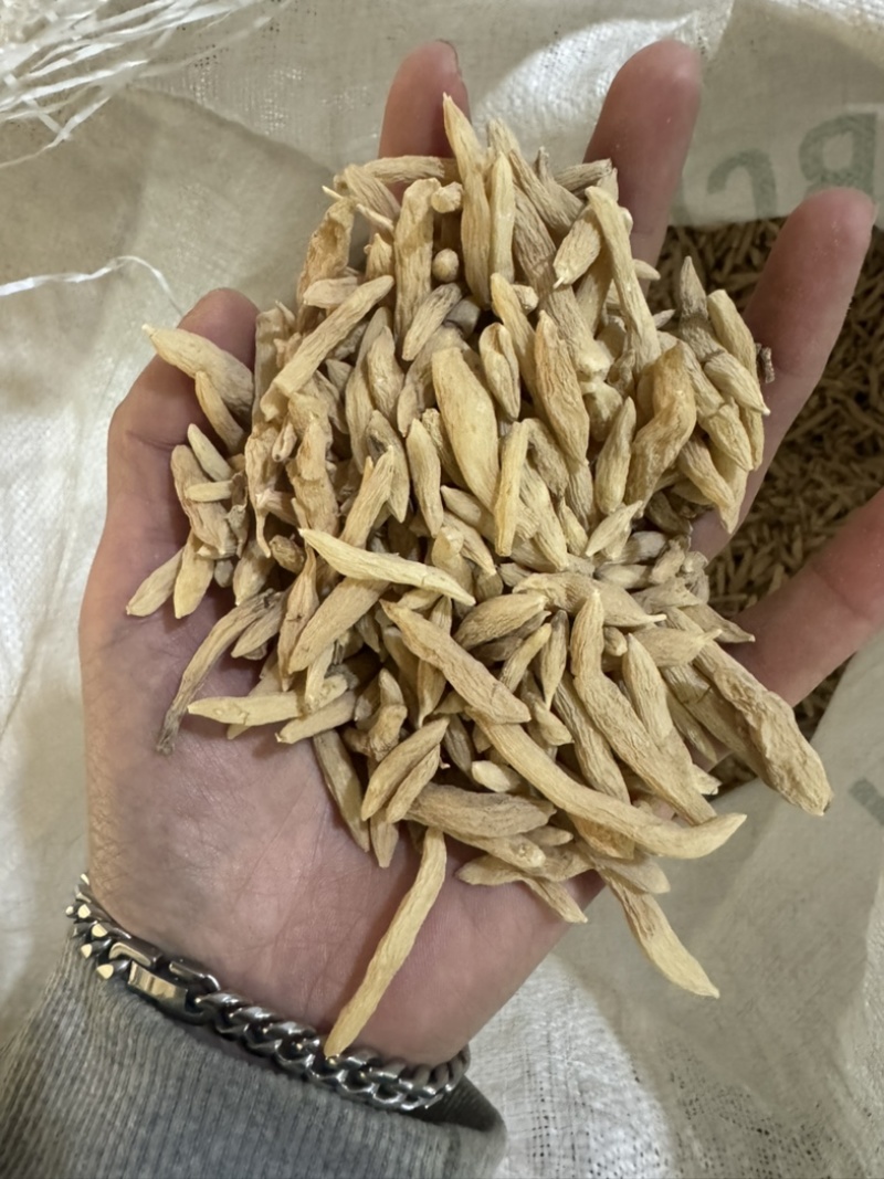 麦冬干麦冬麦门冬保庆药业中药材麦冬实物拍摄