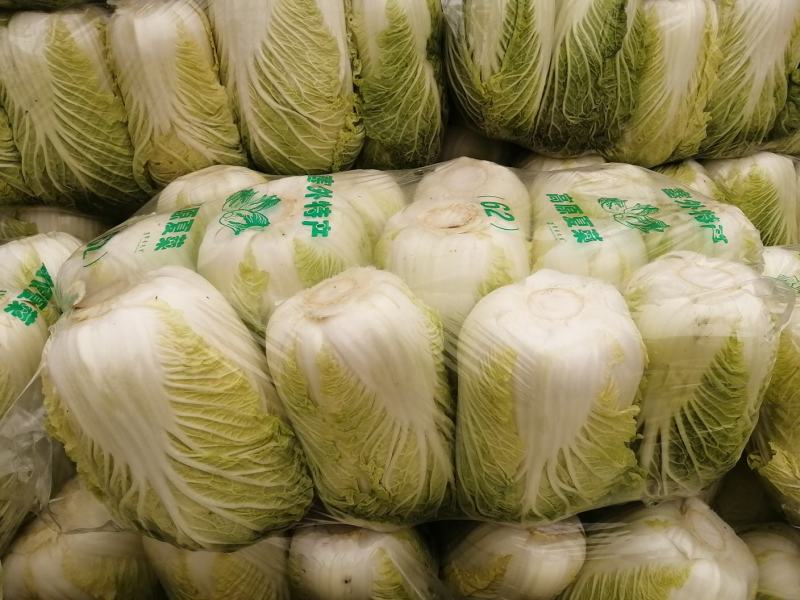 湖北黄心大白菜，可供超市，批发市场，加工厂，，，，，