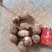 [热销芋头]山东优质8520芋头种大量有货销售，产地直销