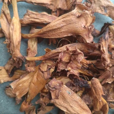 凌霄花保庆药业批发凌霄花干货凌霄花实拍