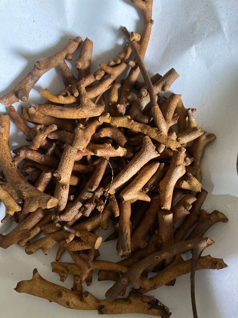 炒骨碎补