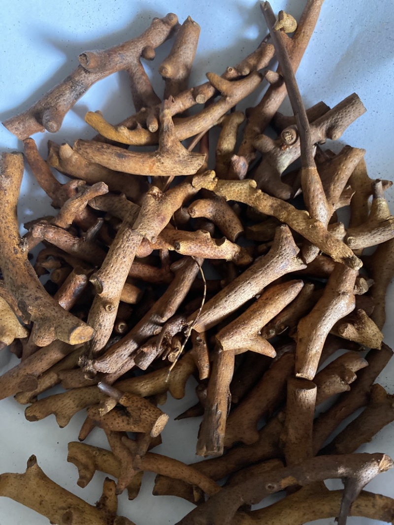 炒骨碎补