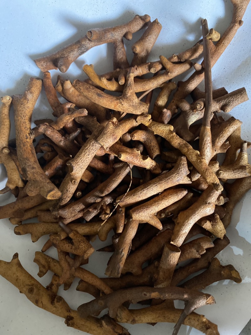 炒骨碎补