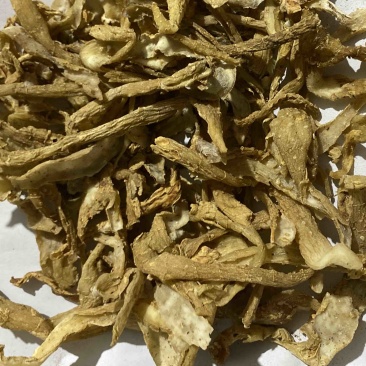 玉竹