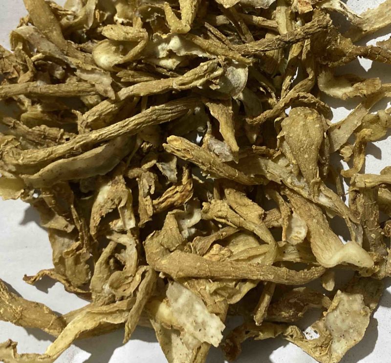 玉竹