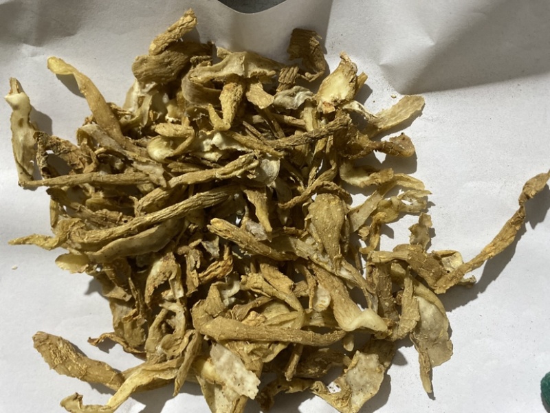 玉竹