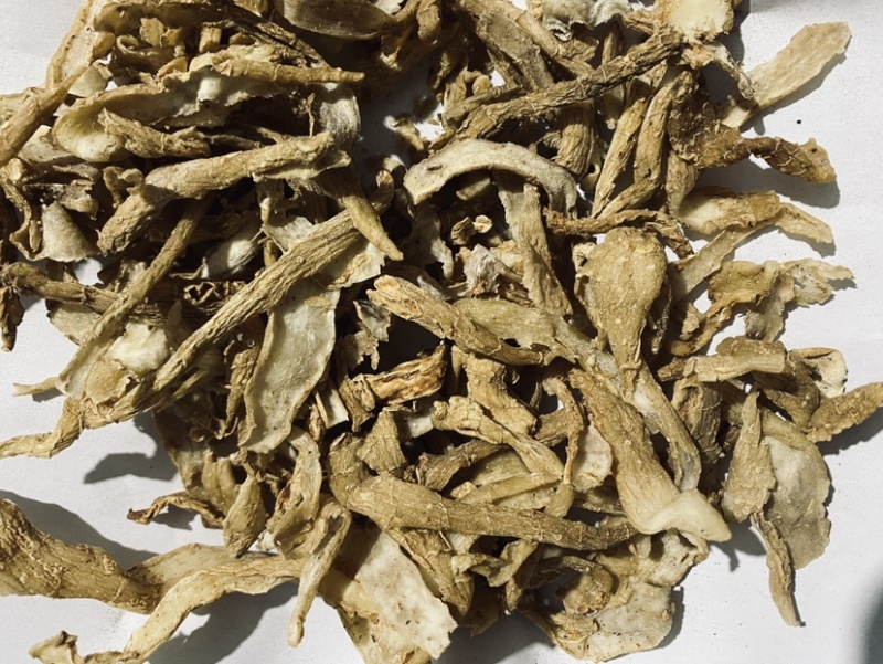 玉竹
