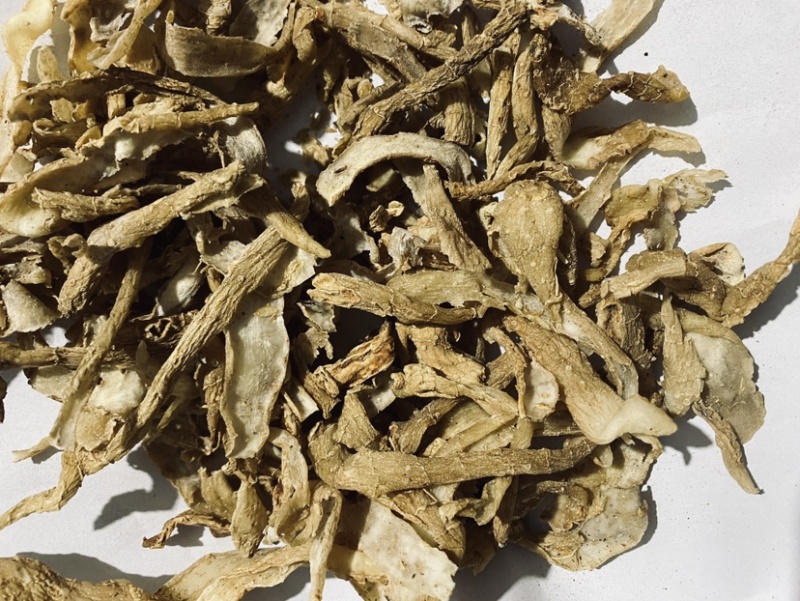 玉竹