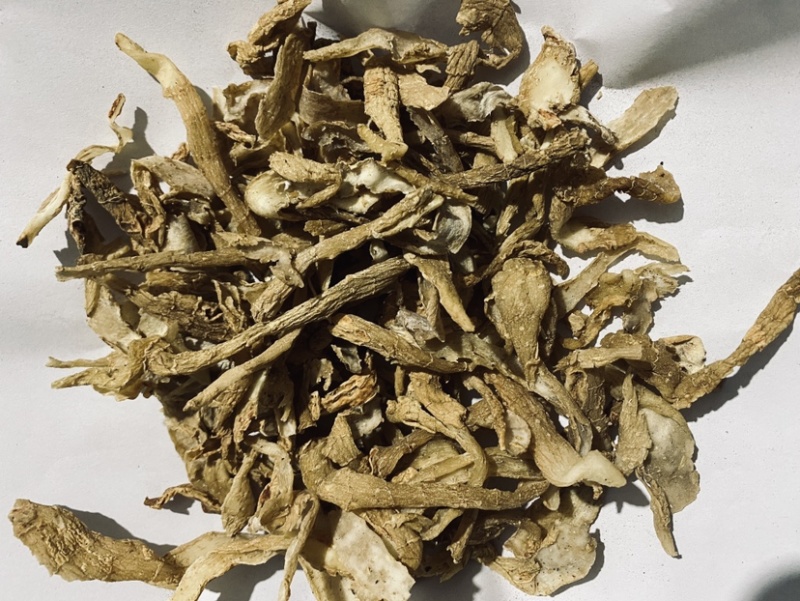 玉竹