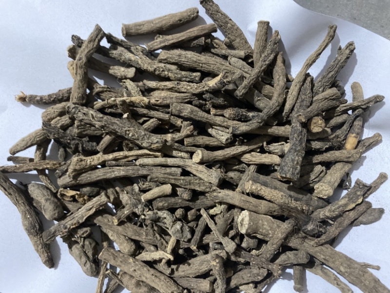 仙茅