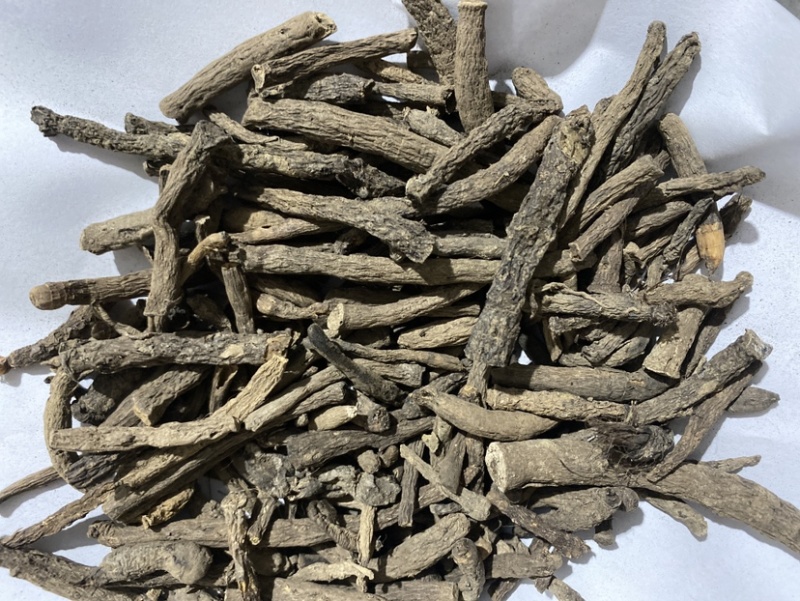 仙茅