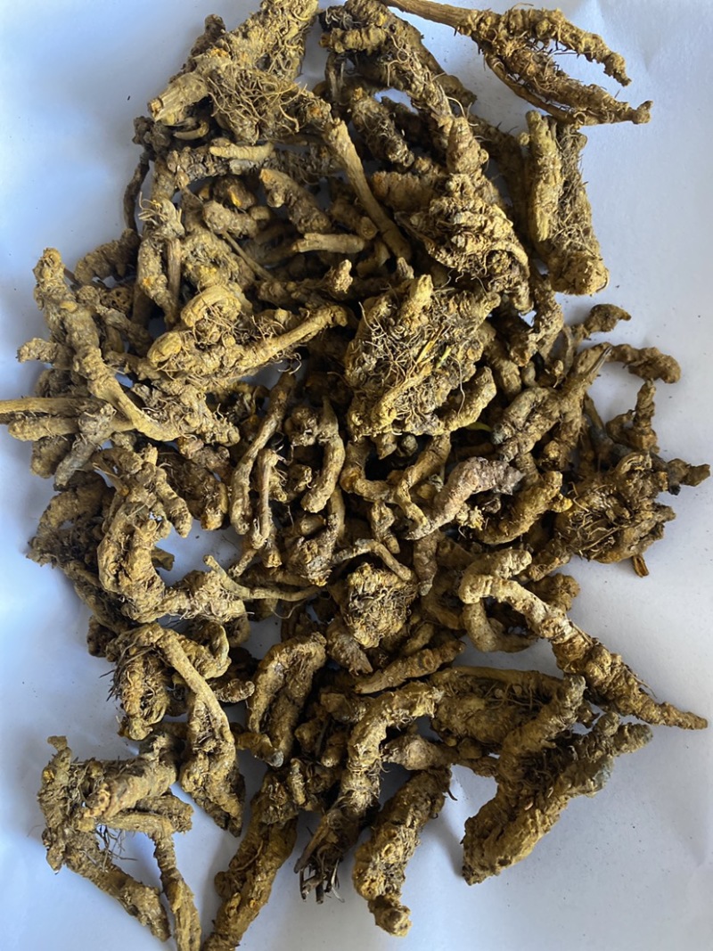 黄连