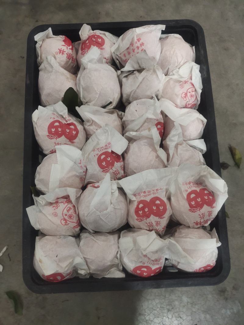 耙耙柑，春见入囗化渣汁水多纯甜，产地直供，全国发货