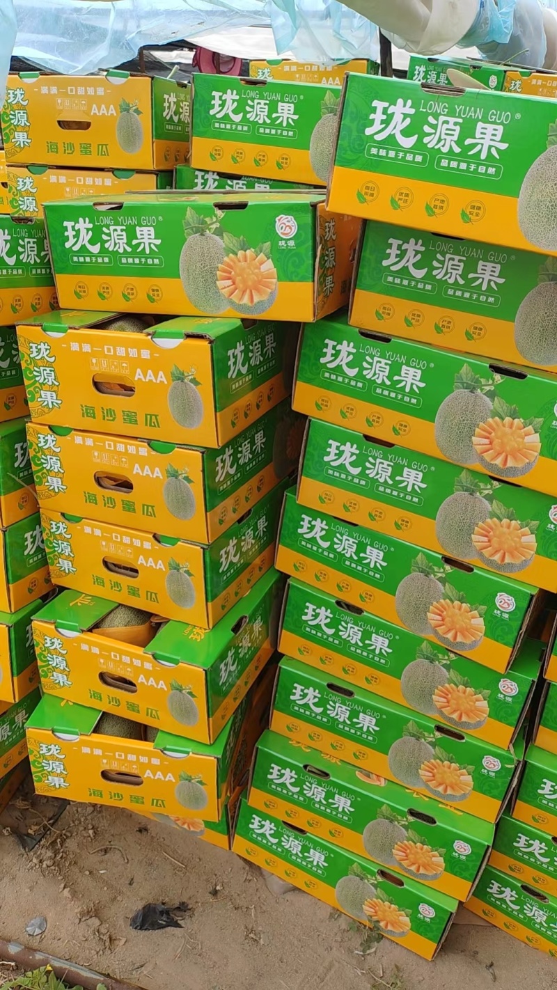 小蜜25，网纹好，皮毛靓
