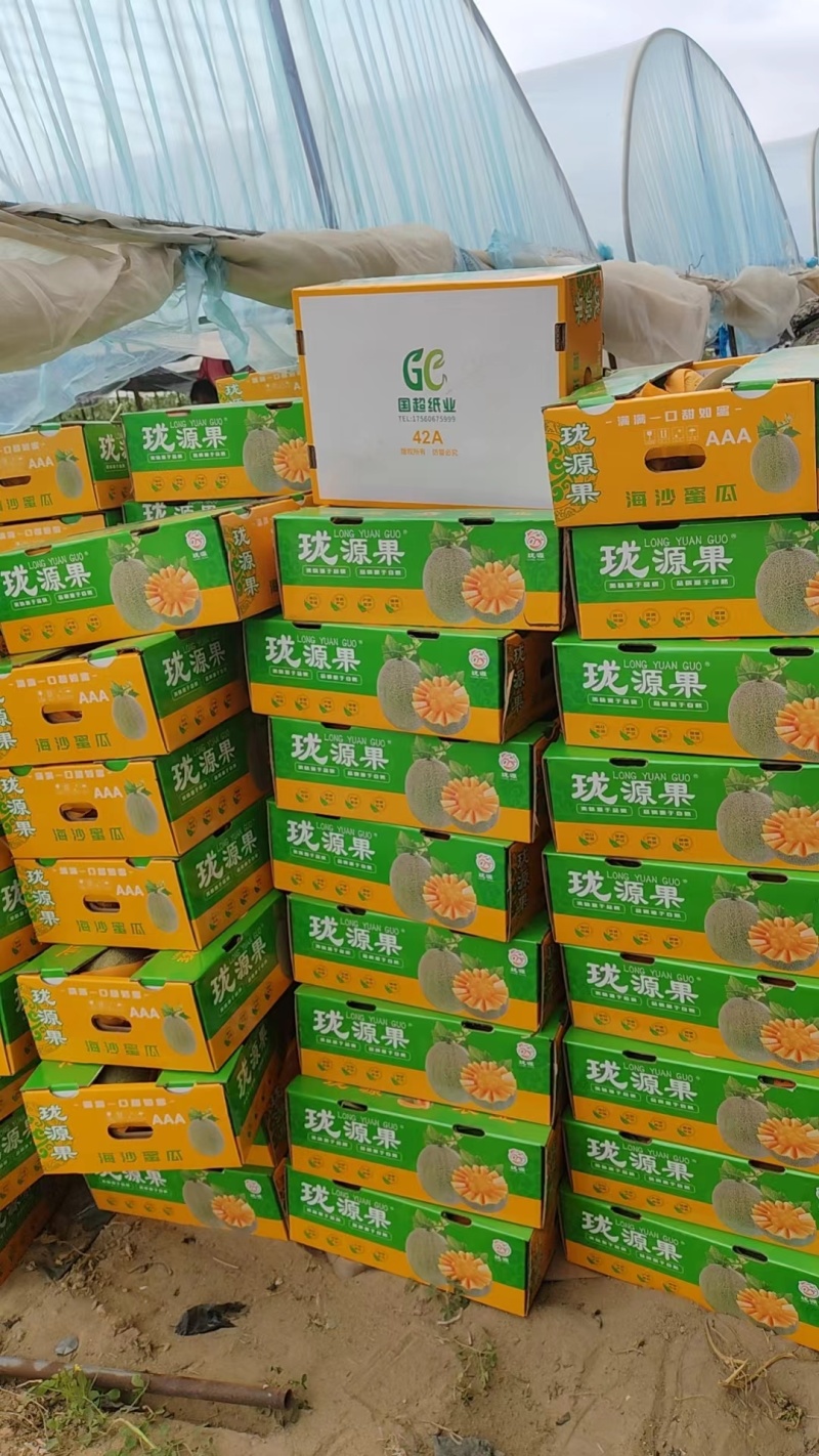 小蜜25，网纹好，皮毛靓