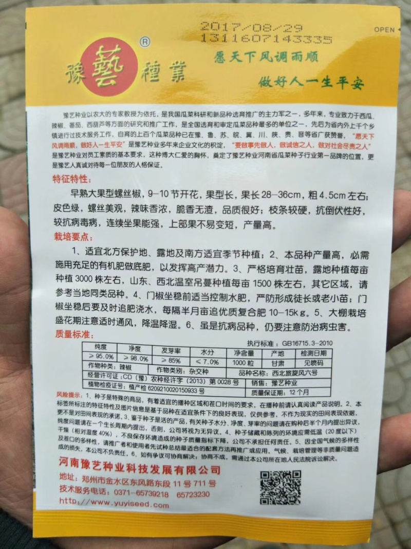 西北旅旋风六号螺丝椒种子早熟大果型抗病香辣加长