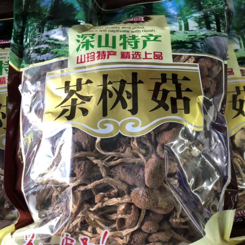 茶树菇