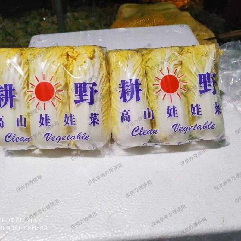 娃娃菜。黄包绿包。大娃产地直供。常年有货。