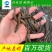 优质黄鳝苗产地直销直供批发现货技术跟踪