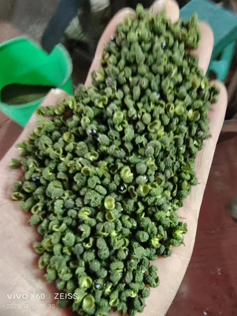 青花椒重庆基地直发货源充足质美价优支持零售/批发电联