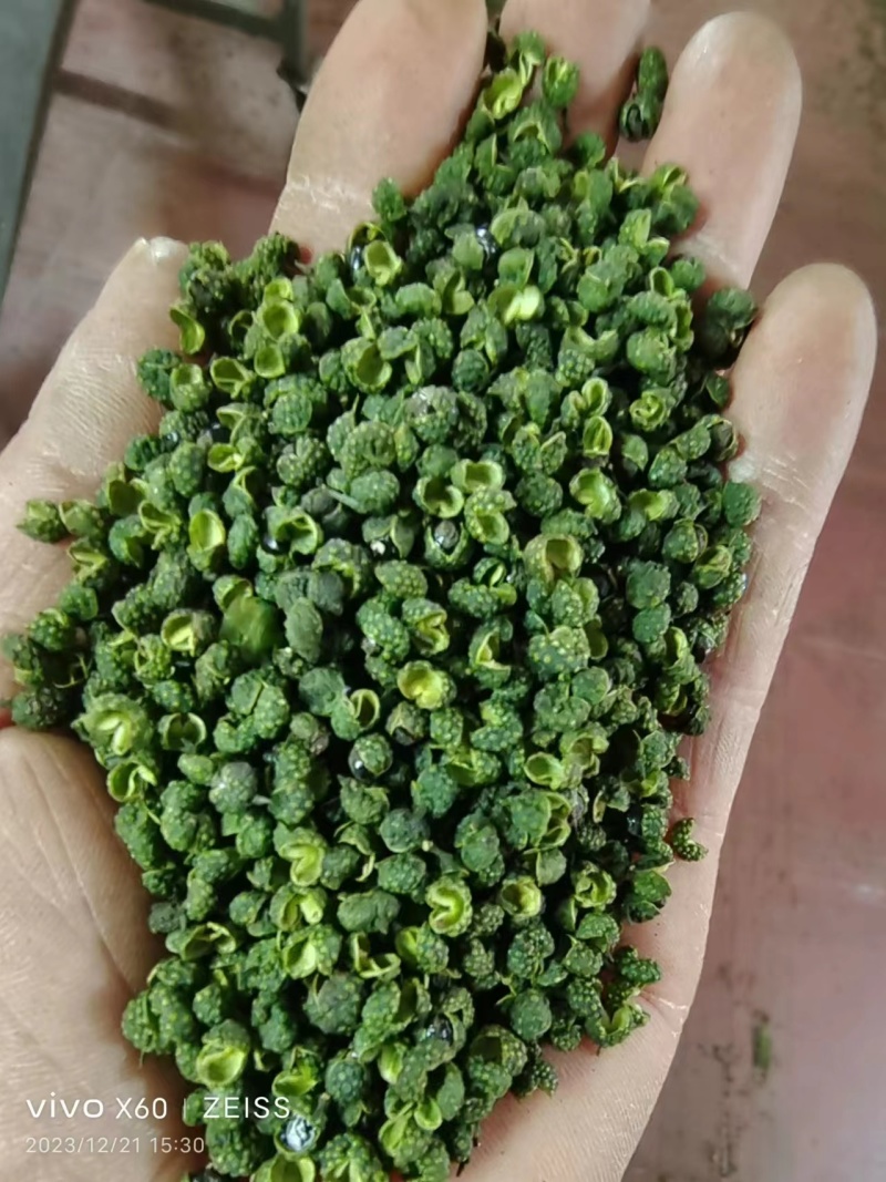 青花椒重庆基地直发货源充足质美价优支持零售/批发电联