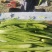 云南贡菜加工直销