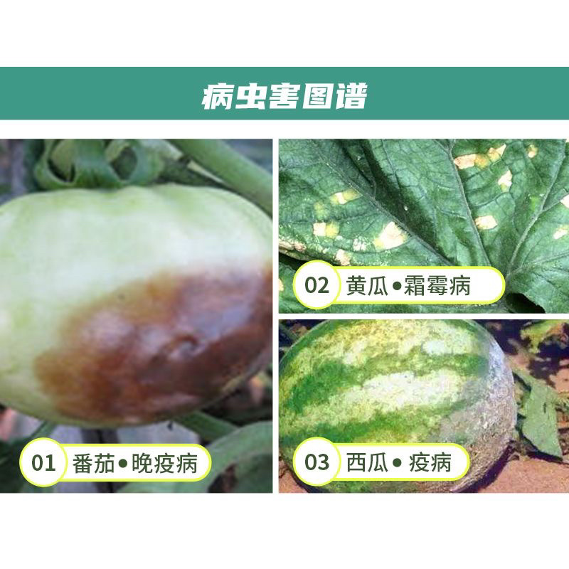 氰霜唑早疫病荔枝番茄黄瓜葡萄西瓜草莓霜霉病晚疫病杀菌剂