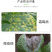 陕西美邦双必扑80%霜脲氰葡萄黄瓜霜霉病番茄晚疫病农药