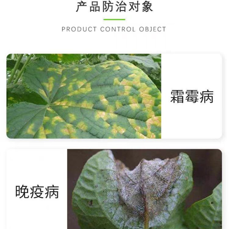 陕西美邦双必扑80%霜脲氰葡萄黄瓜霜霉病番茄晚疫病农药