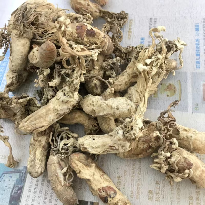 金蝉花保庆药业实拍带花金蝉花现货