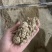 纯豆渣厂家直销，质量干爽，双层加厚发酵袋包装储存时间更长
