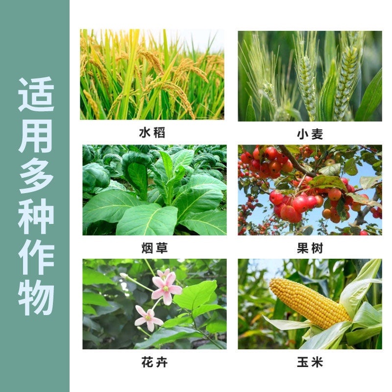 美佳迪5%调环酸钙红薯花生草莓控旺控梢矮化植株调节剂