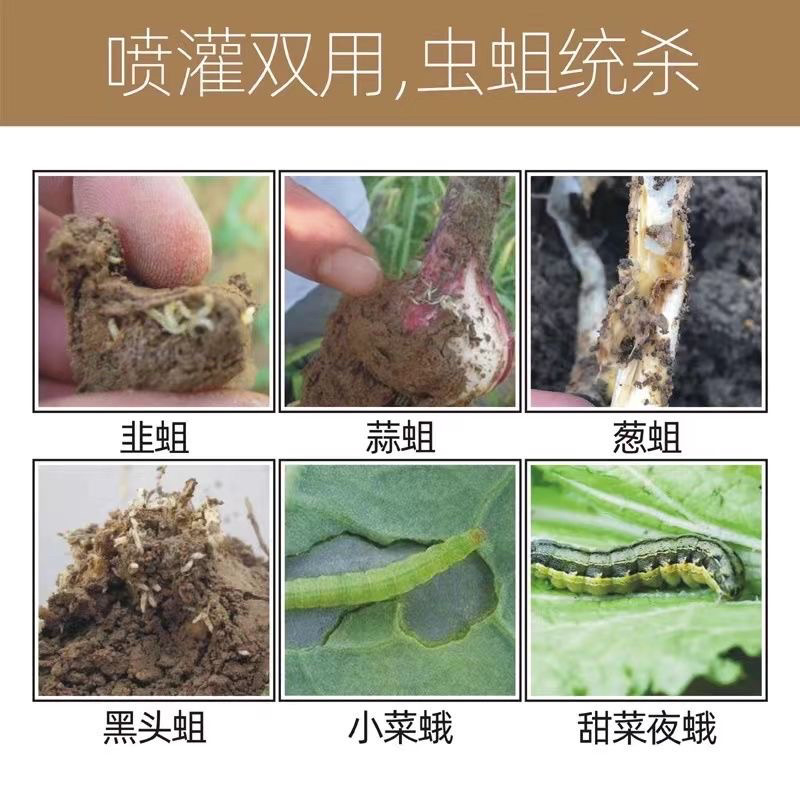 冠龙惯打5%氟啶脲韭菜韭蛆小菜蛾黑头蛆青虫农药杀虫剂