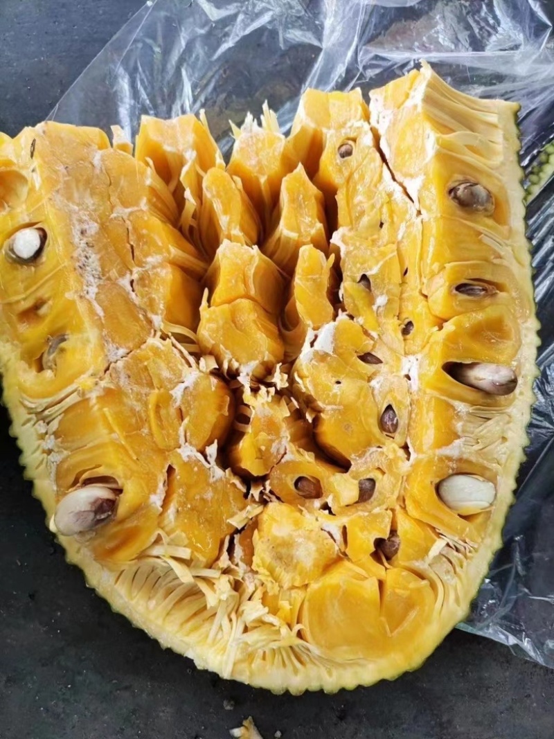 菠萝蜜新鲜大果嘎嘣脆