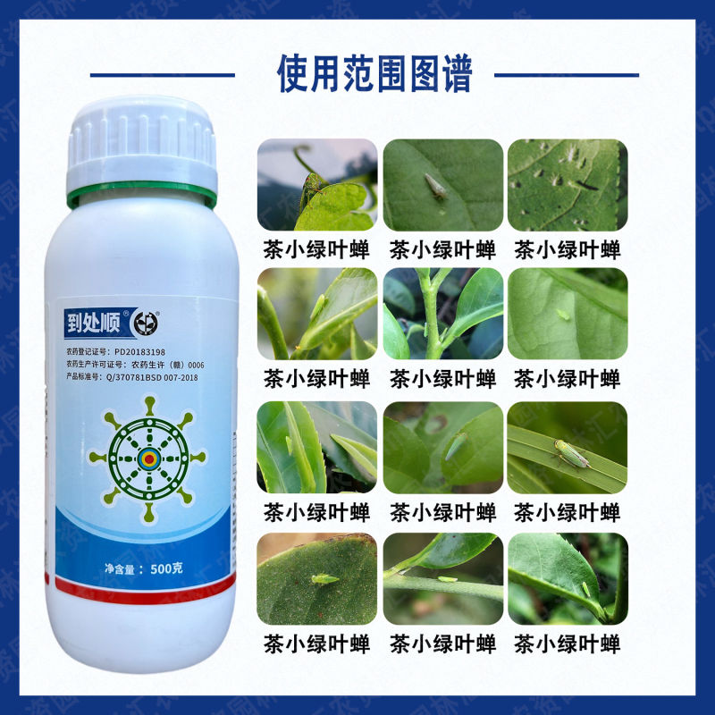 中迅到处顺噻虫高氯氟噻虫嗪高效氯氟氰菊酯茶小绿叶蝉农药杀