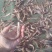 海粘鱼