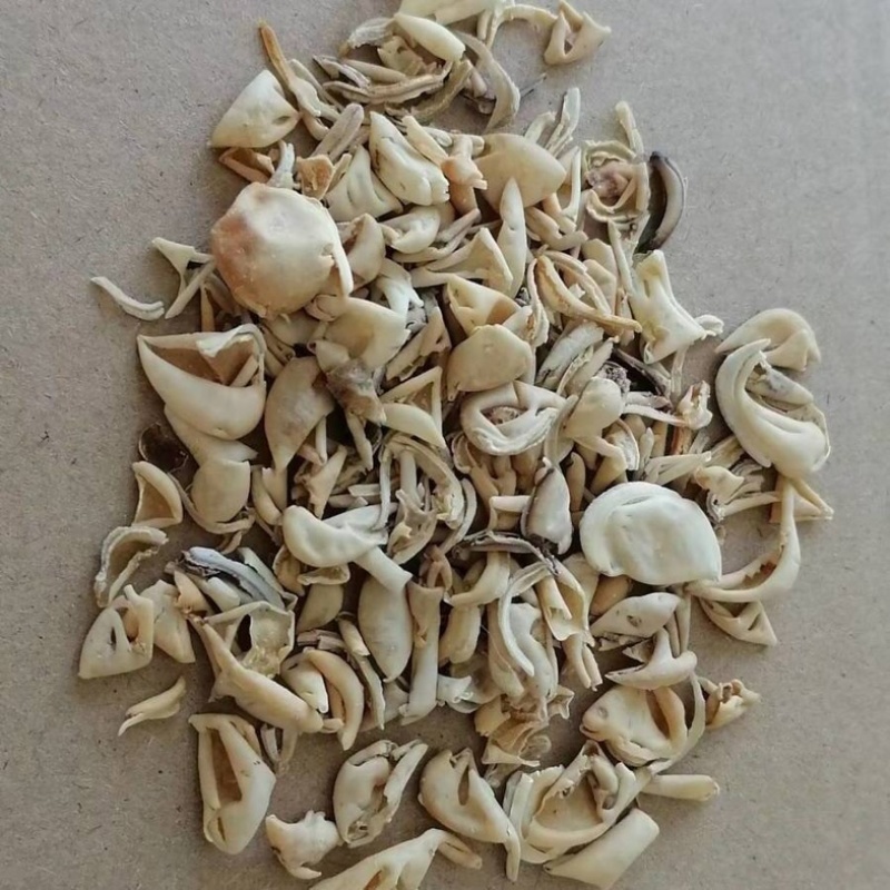 扁豆衣白扁豆衣中药材扁豆衣白扁豆皮