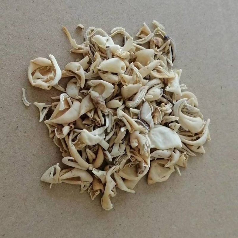 扁豆衣白扁豆衣中药材扁豆衣白扁豆皮