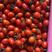 【红圣女果】河南圣女果圆果长果大量有货量大优惠