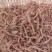 猪鼻筋厂家直销量大从优欢迎致电选购