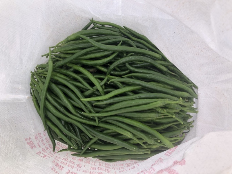 广东鲜辣椒3号线椒，精选线椒，基地直发，大量供应
