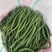 广东鲜辣椒3号线椒，精选线椒，基地直发，大量供应