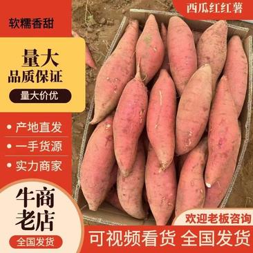 万亩红薯基地西瓜红红薯大量供应产地直发可对接市场商超电商