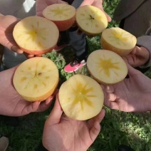 山西冰糖心苹果