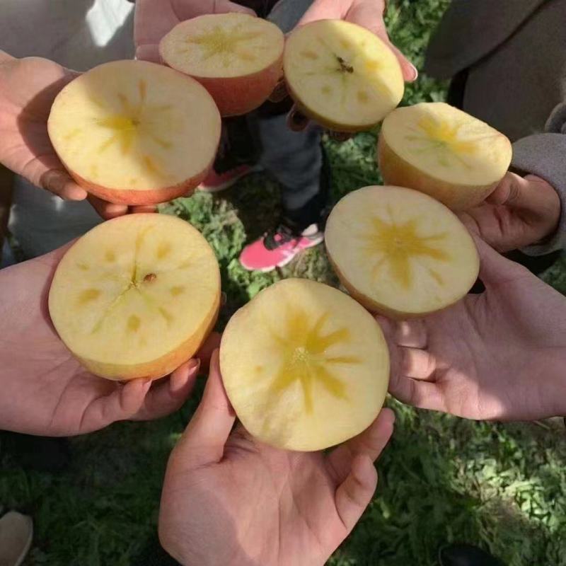 山西冰糖心苹果