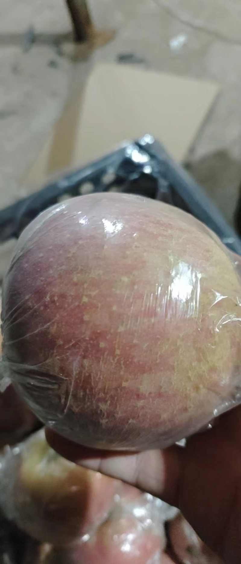 山西冰糖心苹果